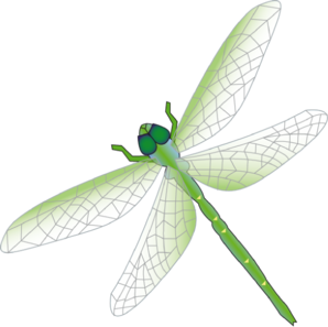 298x297 Dragonfly Clipart Free Download Clipart Free Clipart Images