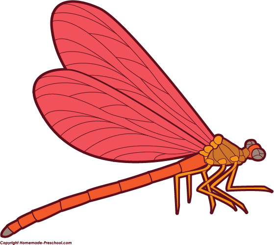559x499 Free Dragonfly Clipart 2