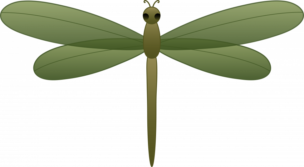 974x534 Coloring Pages Free Dragonfly Clipart Zixo4mpat Coloring Pages