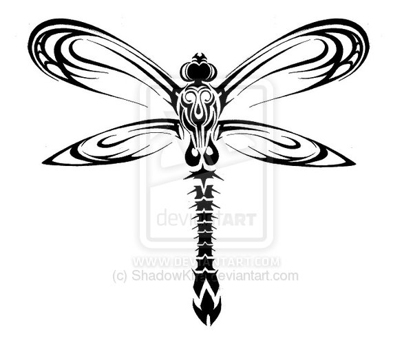 600x504 Outline Tribal Dragonfly Tattoo Sample