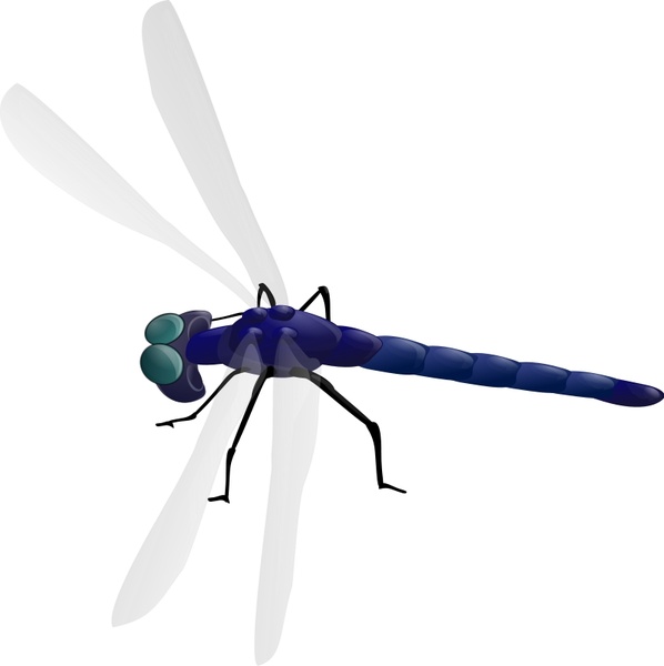 598x600 Vector Dragonfly For Free Download About (35) Vector Dragonfly