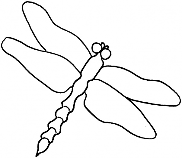 603x525 Best Dragonfly Outline