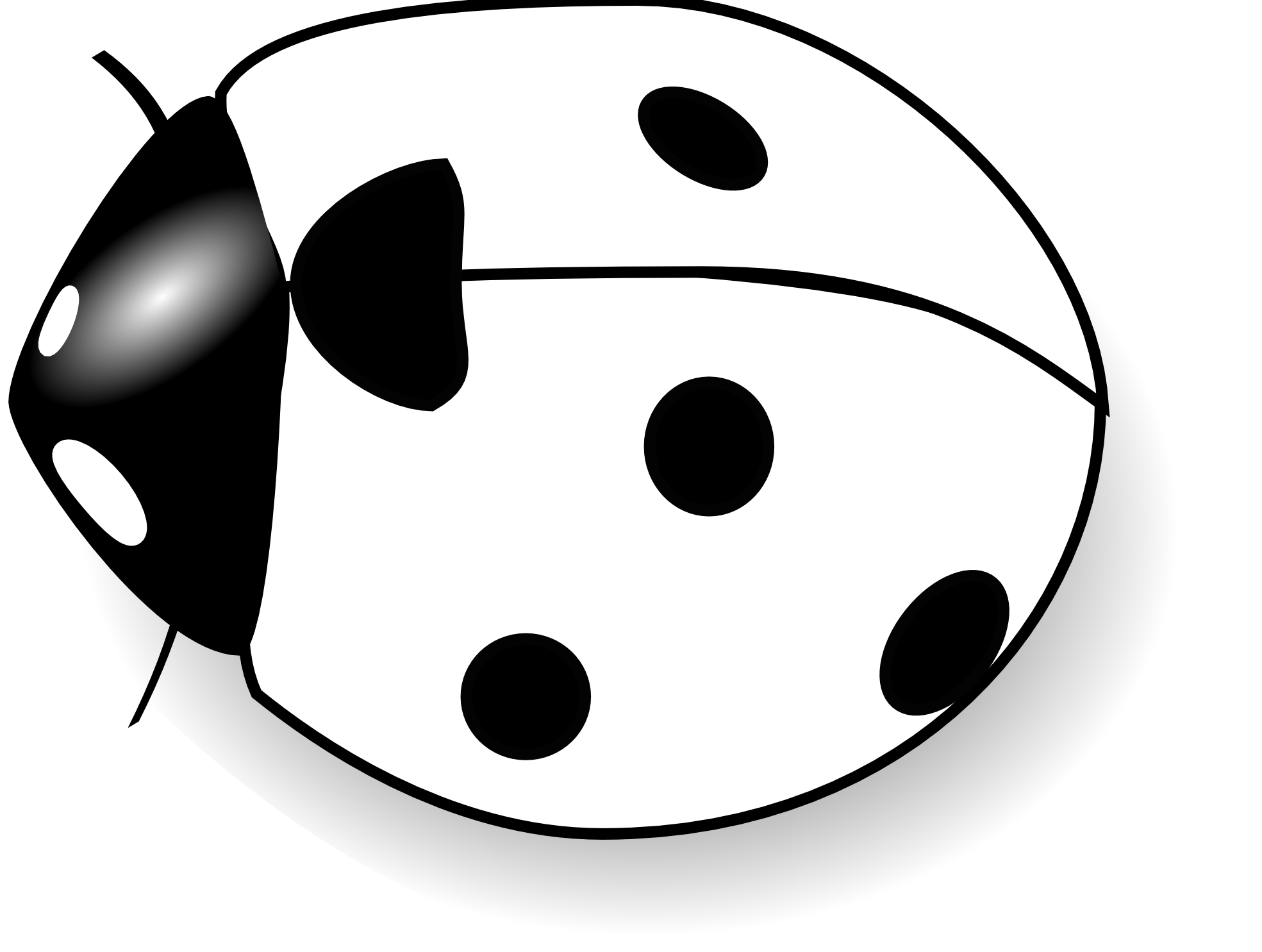 1969x1485 Black Dragonfly Cliparts