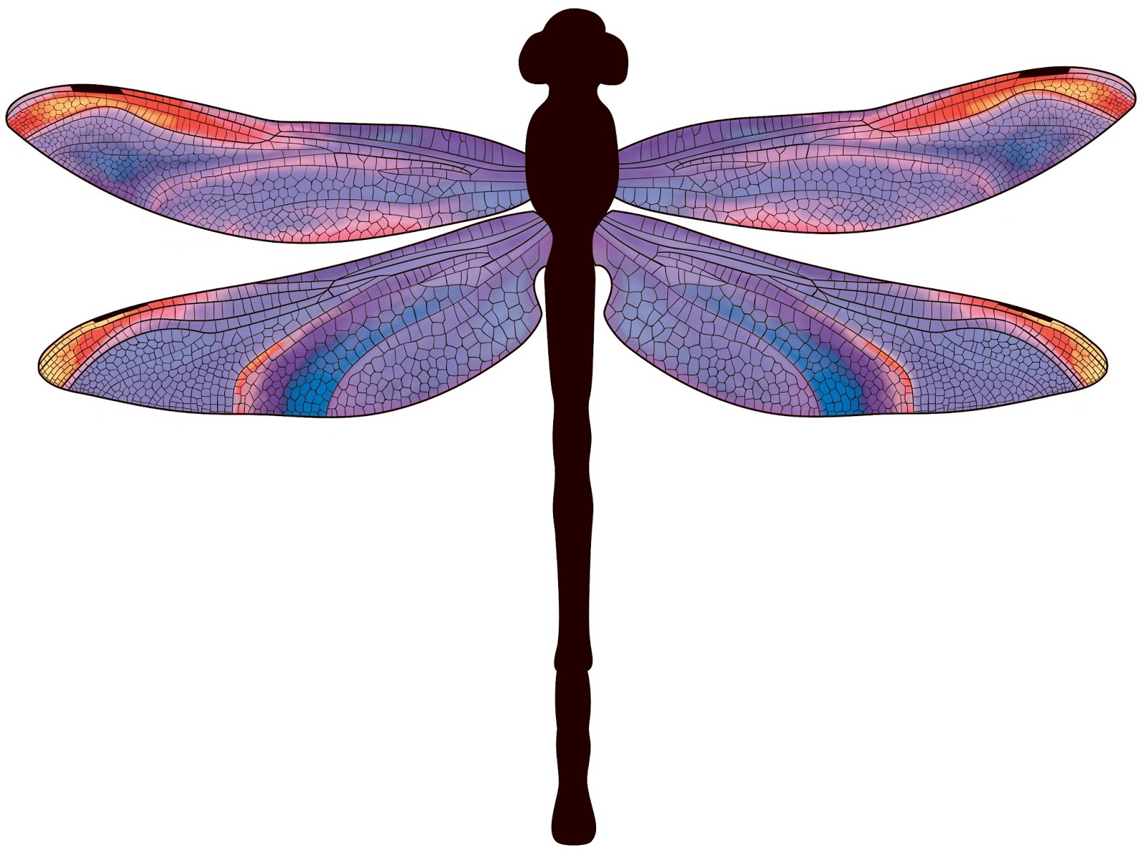 1600x1198 Moon House Jewelry Dragonfly Artwork