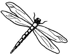 236x182 Dragonfly Outline For Bleach Perhaps Free Motion