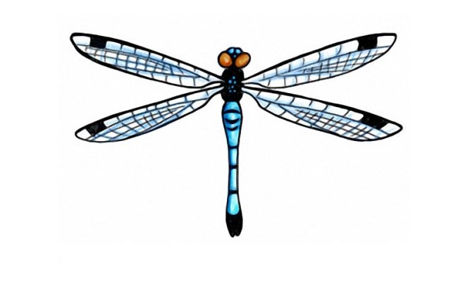650x400 5 Spiritual Blue Dragonfly Tattoo Designs For Women Style Presso