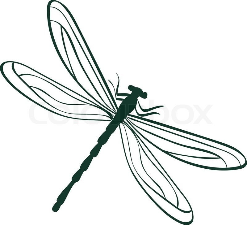 800x727 Abstract Animal Dragonfly Made Up A Lot Of Diamond On The Black
