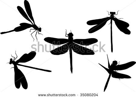 450x324 Dragonfly Clipart Flight Silhouette
