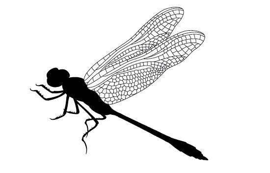 550x354 Dragonfly Silhouette Vector Silhouettes Vector