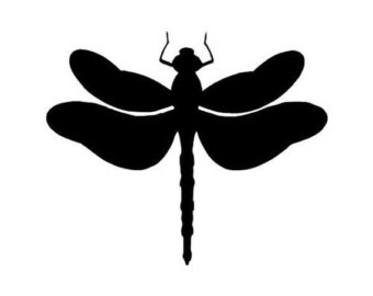 340x270 Dragonfly Vinyl Etsy