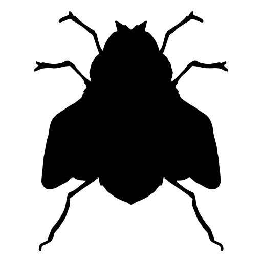 512x512 Fly Silhouette