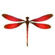 180x180 Image Result For Celtic Dragonfly Silhouette Clip Art Dragonfly