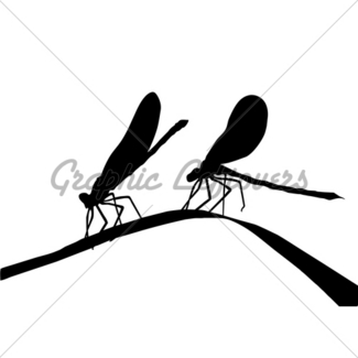325x325 Silhouette Of The Herbs Gl Stock Images