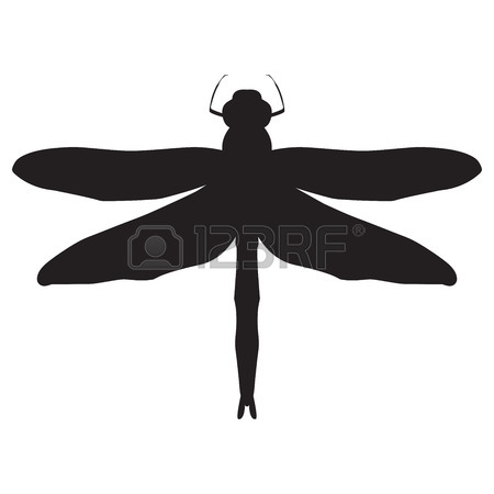 450x450 Dragonfly Silhouette. Design Dragonfly. Insect With Wings. Drawn