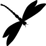 150x150 Dragonfly Stickers Dragonfly Decals