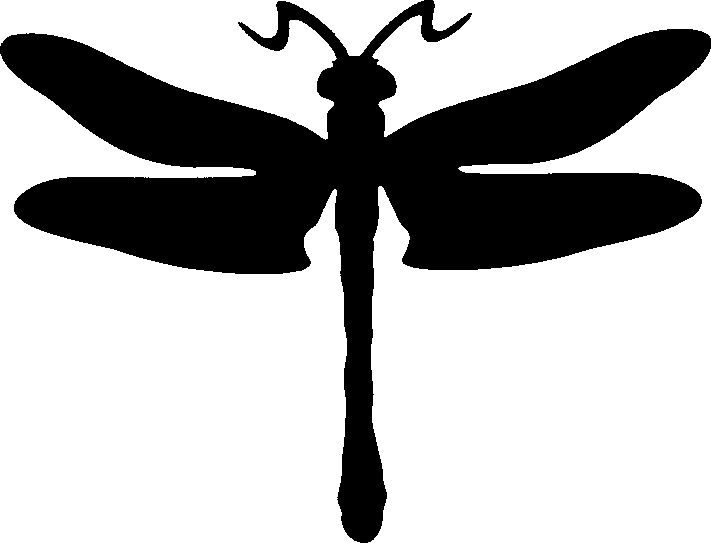 711x543 Dragonfly Dragon Fly Stencil