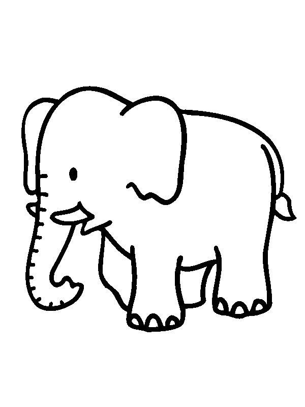 600x800 Elephant Drawing For Kids