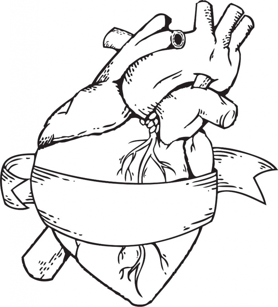 927x1024 Drawing Of A Real Heart Real Heart Drawing