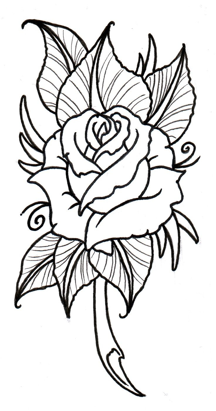 736x1397 Drawing Of A Rose And Heart
