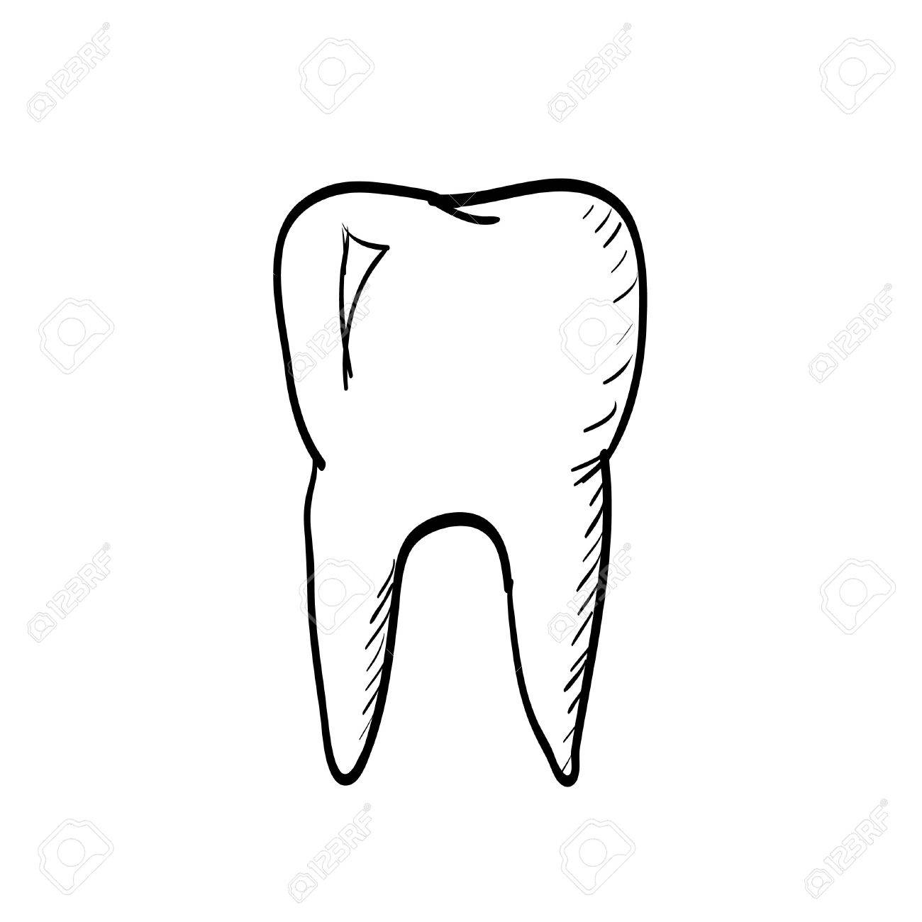 1300x1300 Hand Drawn Tooth Royalty Free Cliparts, Vectors, And Stock