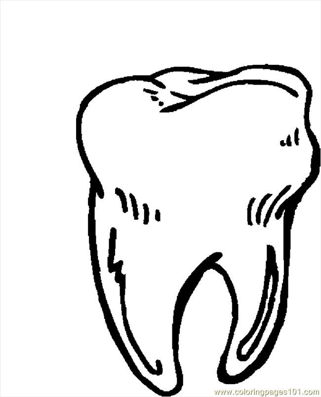 650x802 Tooth Coloring Pages