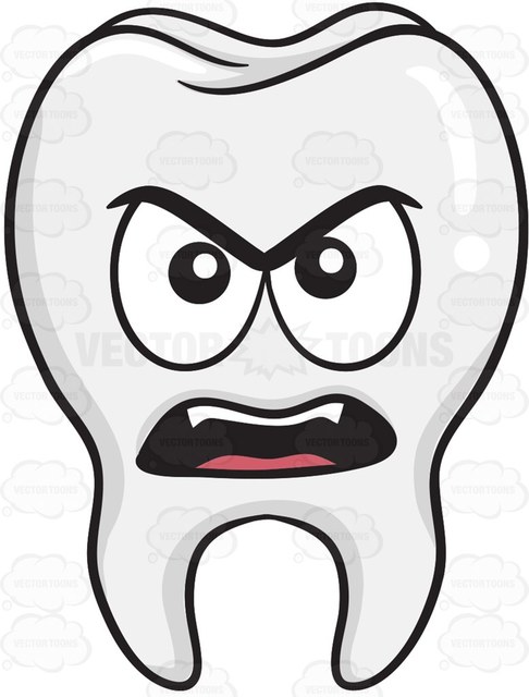 486x640 Single Tooth Clipart