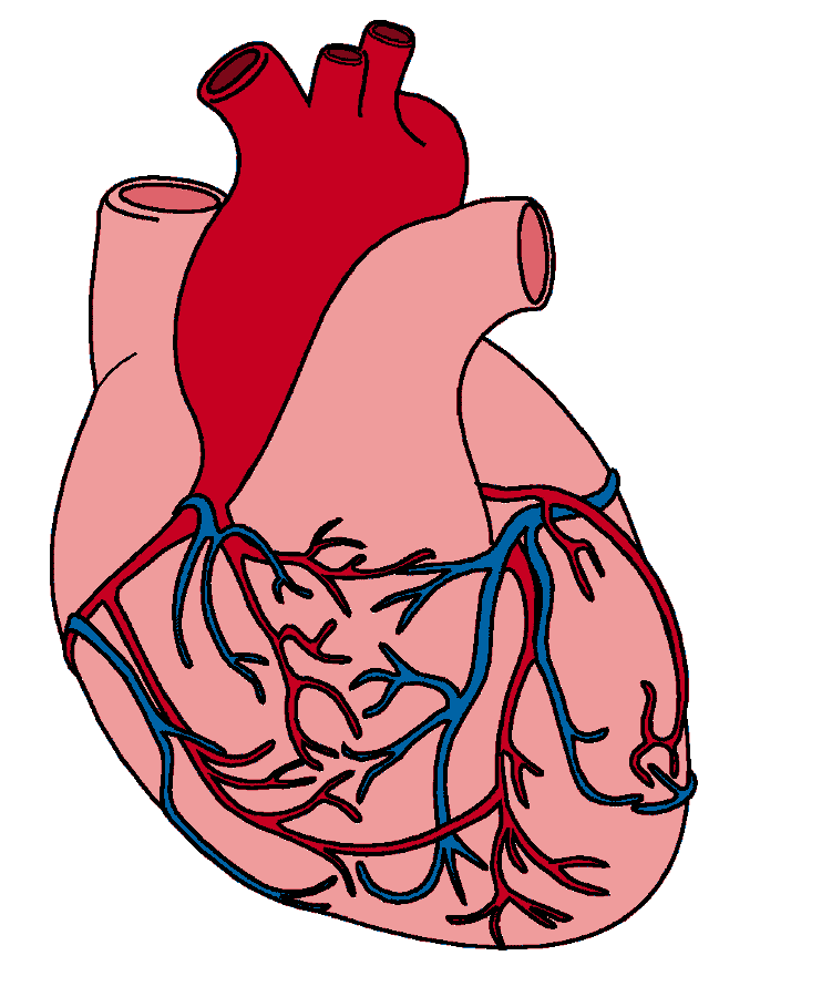 751x900 Drawings Of Hearts, Heart Images And Cartoon Love