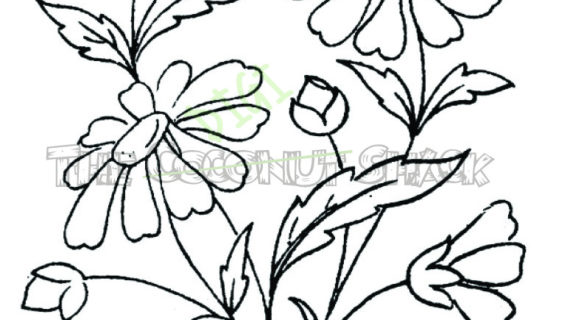570x320 Bunch Of Flowers Drawing Bunch Of Flowers Drawing