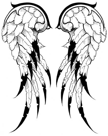 438x550 19 Best Wings Reference Images Drawings, Black