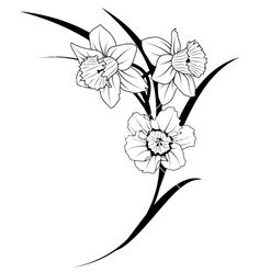 236x248 Delicate Daffodils