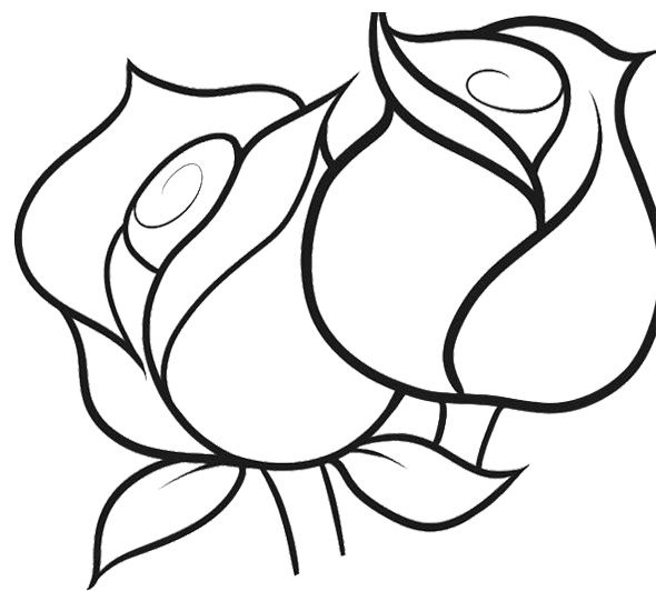 590x532 Pin By On Flower Coloring Pages