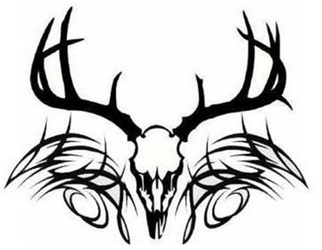 644x500 Graphics For Tribal Elk Skull Graphics