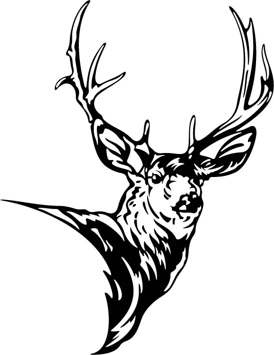 549x710 Head Clipart Mule Deer