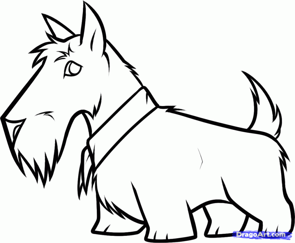 1024x844 1000 Images About Scottie Dogs Clip Art Graphics, Line Drawings
