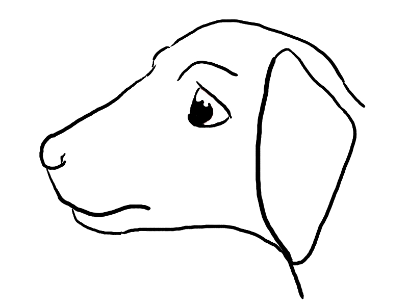 800x600 Pet Dog Line Drawing By Kuritsutei
