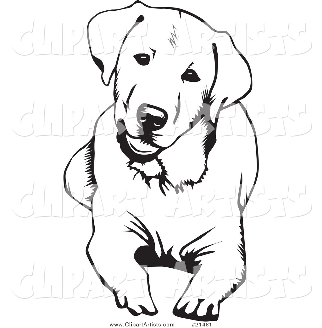 1024x1044 Pin By Gyna Devoyault On Tatouage Labradors