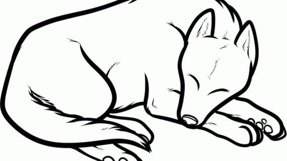 570x320 Drawings Of Dogs