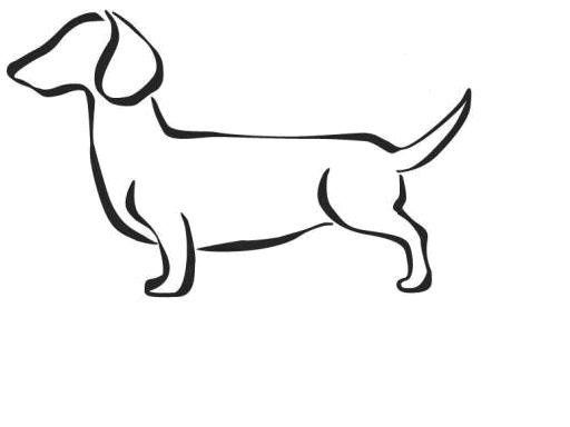 512x384 The Best Dachshund Drawing Ideas Daschund