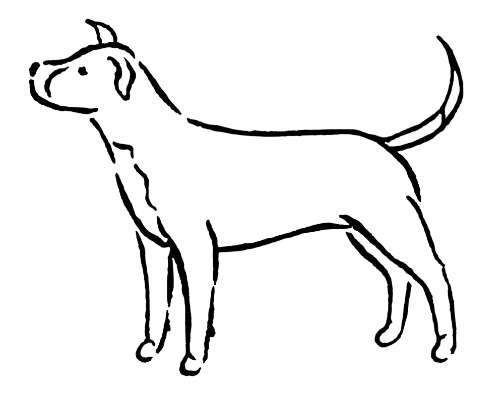 Drawings Of Dogs | Free download on ClipArtMag