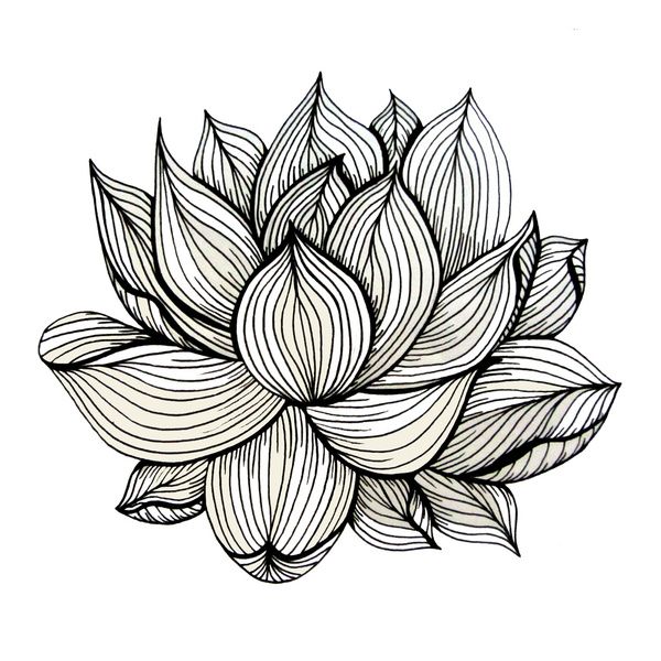 600x600 Best Flower Line Drawings Ideas Watercolor