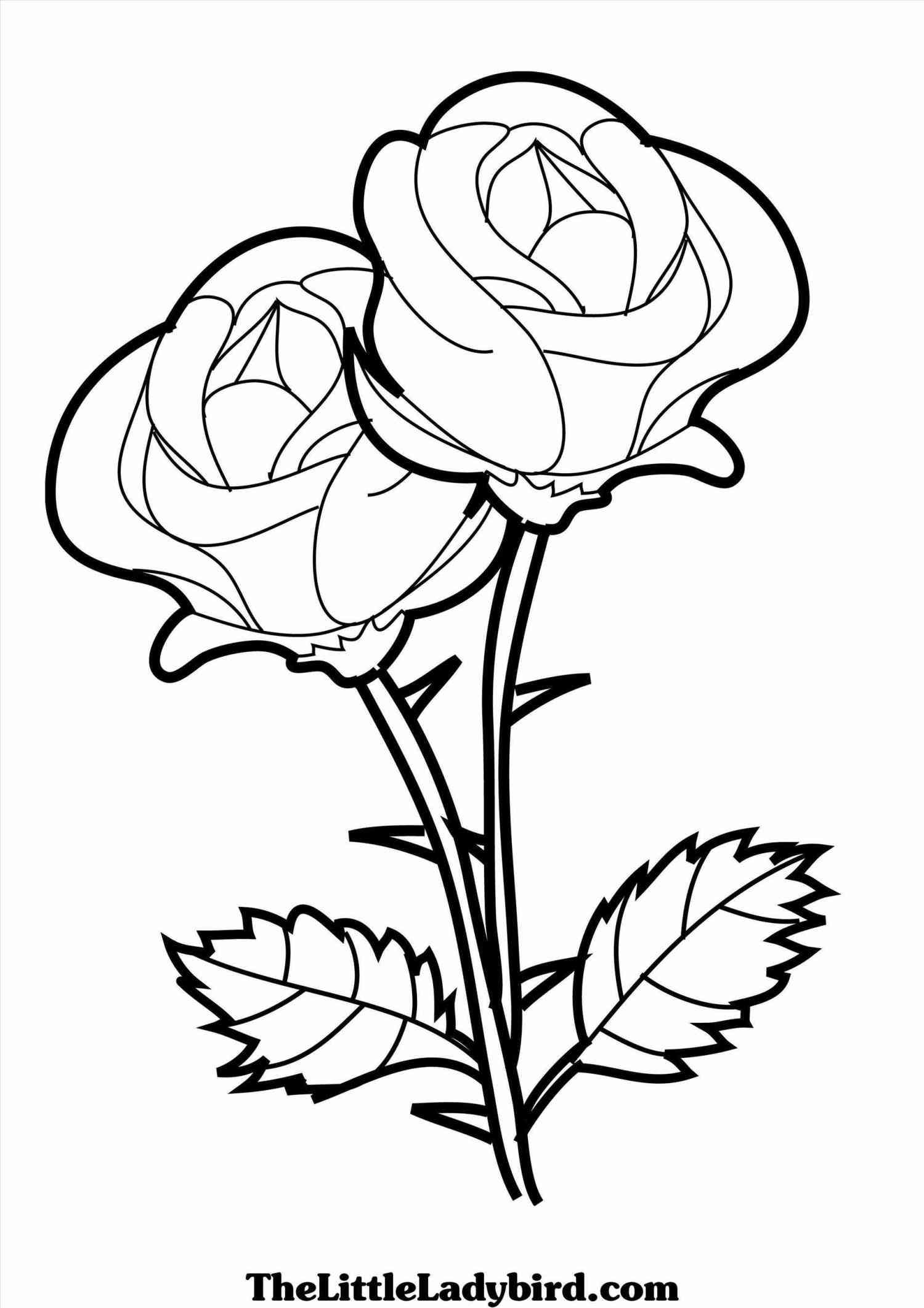 1500x2123 Roses Hearts Valentines Drawings Of Hearts With Ribbons