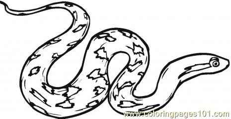 465x239 Coloring Page Charming Rattlesnake Coloring Pages Page