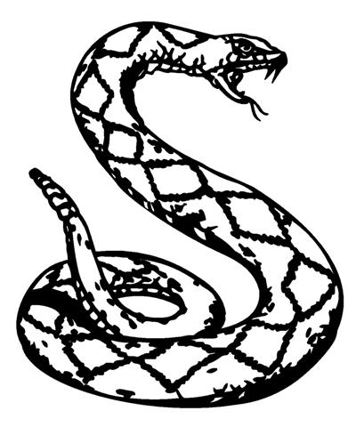 409x480 Drawn Snake Rattlesnake