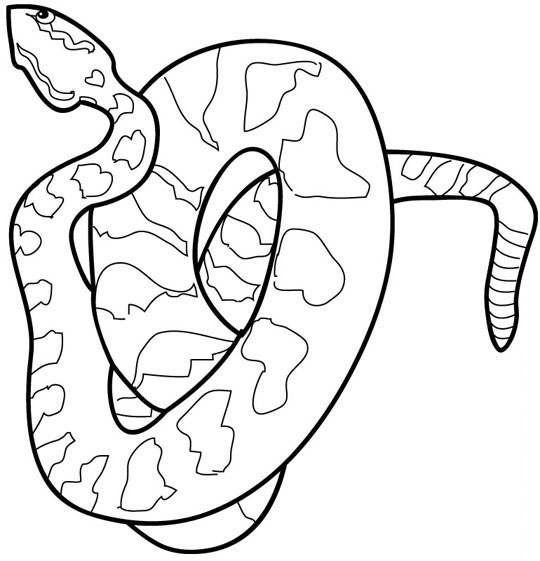 540x561 Rattlesnake Animal Coloring Pages