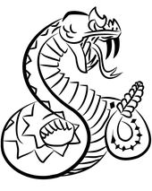 170x213 Rattlesnake Drawing