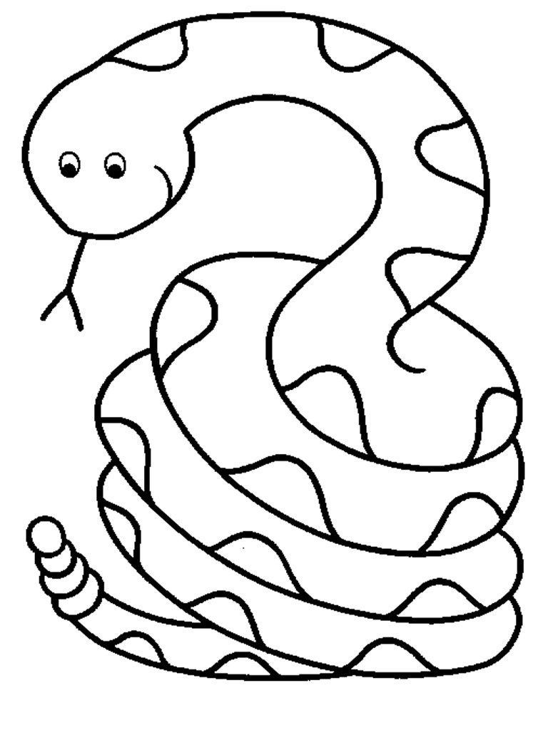 768x1024 Beautiful Snake Coloring Page 16 For Coloring Pages For Kids