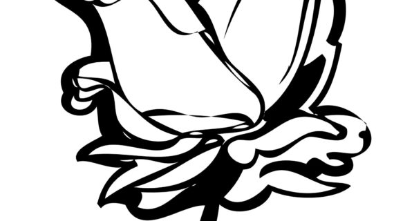 570x320 Rose Drawing Black And White Black And White Drawings Of Roses