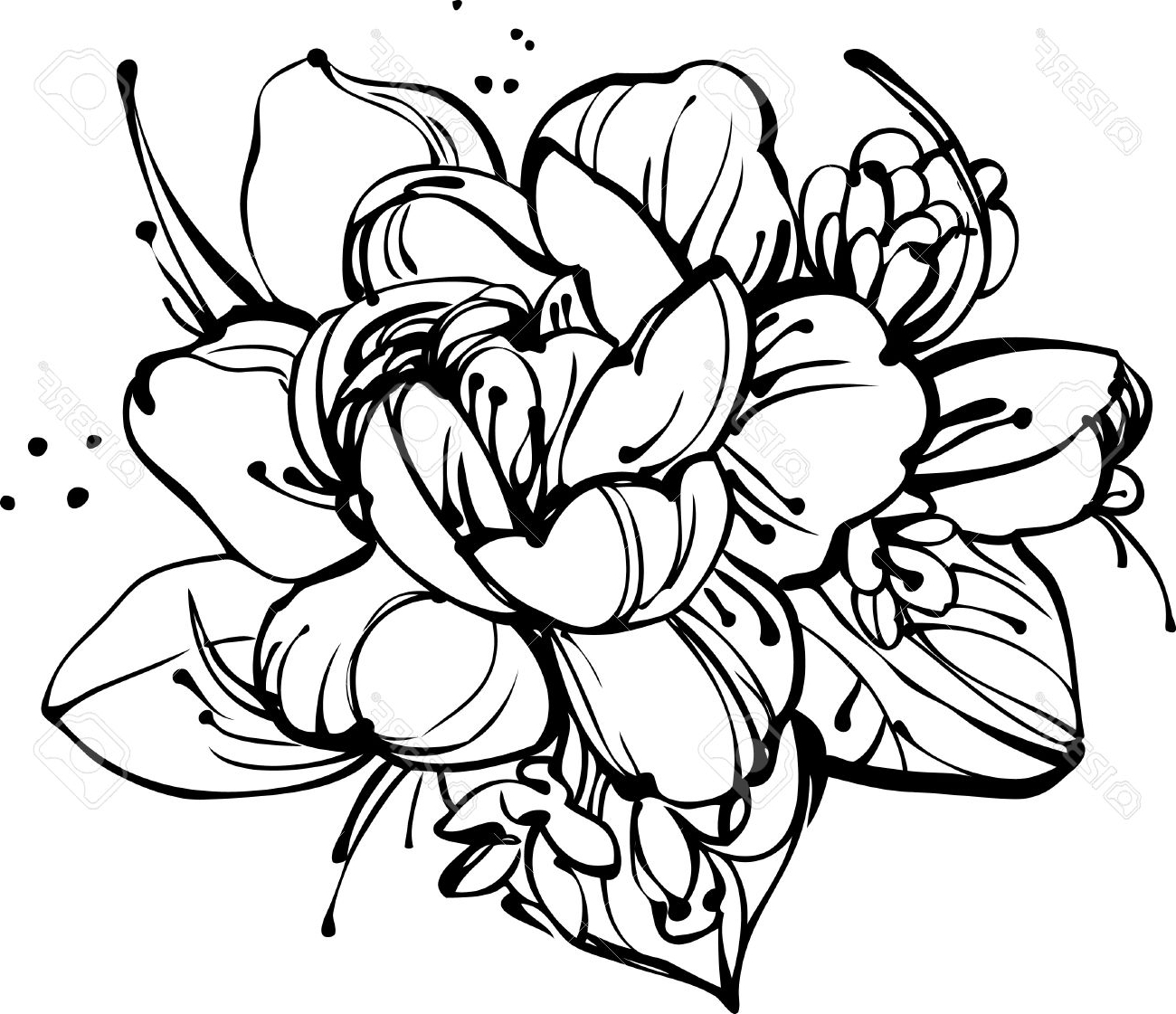 1300x1121 Black And White Drawing Of A Flower In Bunches Drawn Flower Flower