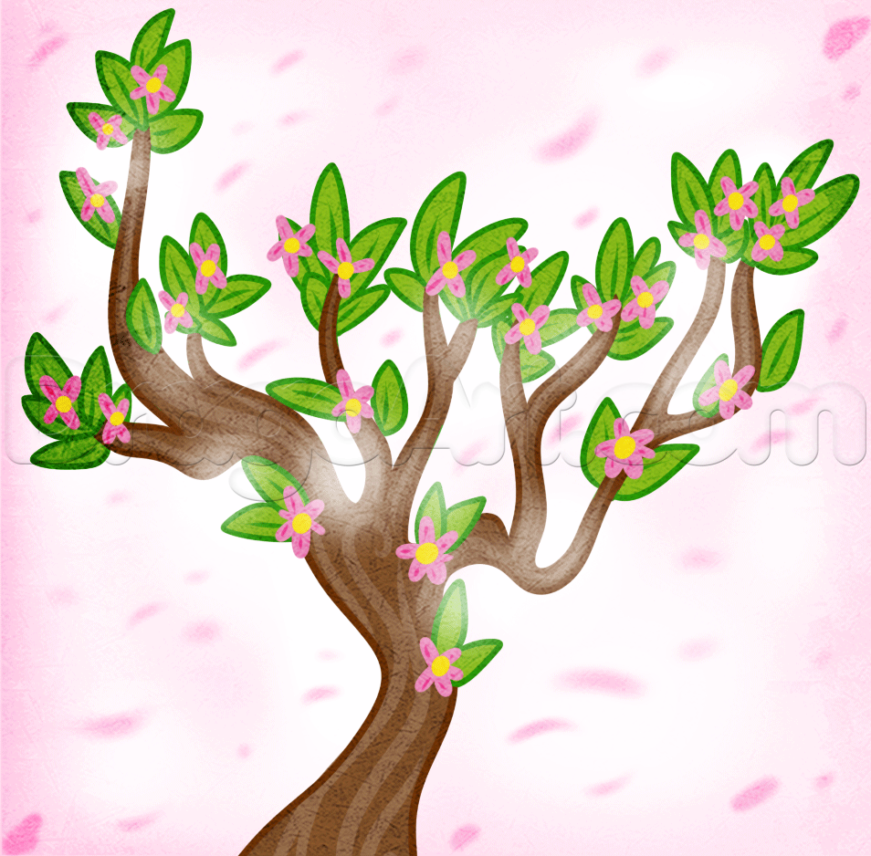 954x938 How To Draw A Spring Tree, Step By Step, Trees, Pop Culture, Free