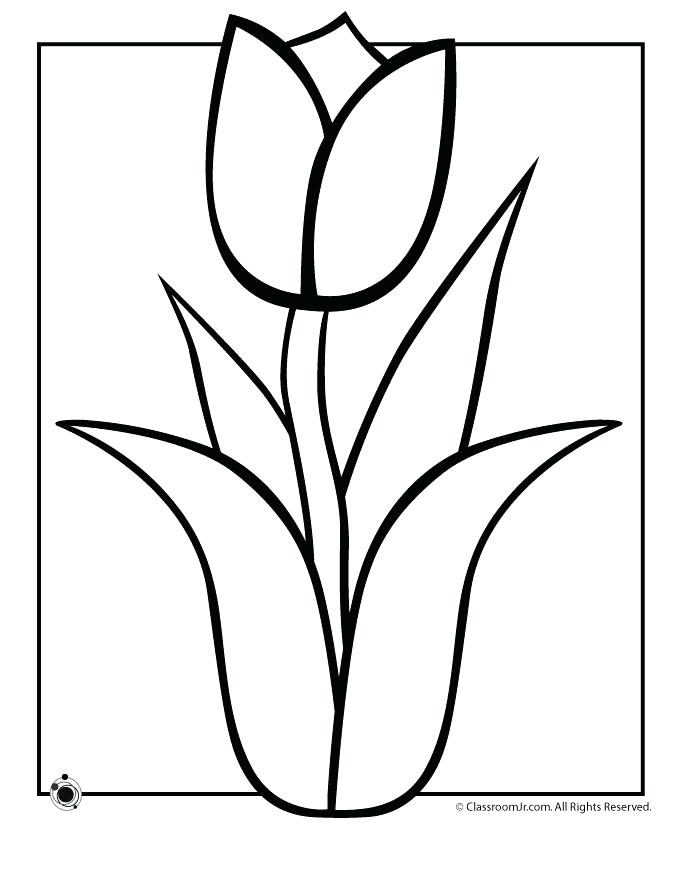 680x880 Spring Flowers Coloring Page Pages Pictures Of S